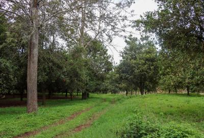 0.125 ac Residential Land at Thika Grove Chania-Opposite Blue Post Hotel