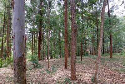 Land in Rosslyn