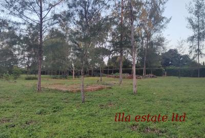 0.25 ac Residential Land at Diani Beach Road - 4