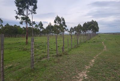 Land in Narok