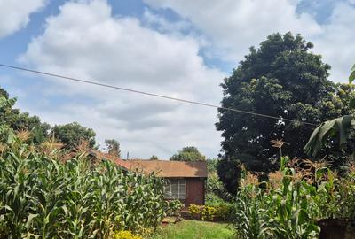 0.25 ac Land at Kabiria Rd - 4