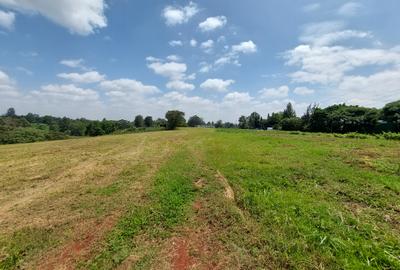 Commercial Land at Redhil Road - 2