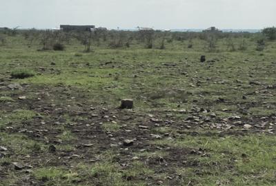 474 ac Land at Kamakis Mwalimu Farm - 3