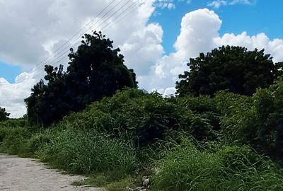 Land at Malindi