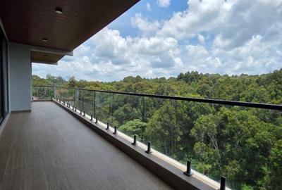 4 Bed Apartment with En Suite in Spring Valley