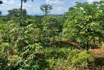 2 ac Land at Karingani - 4