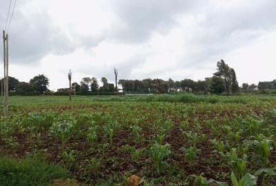 Residential Land at Redhill - 4