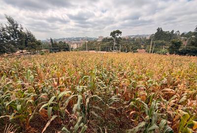 0.5 ac Land at Half Acre Commercial Land - 3