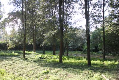 0.10 ha Land at Magadi Road