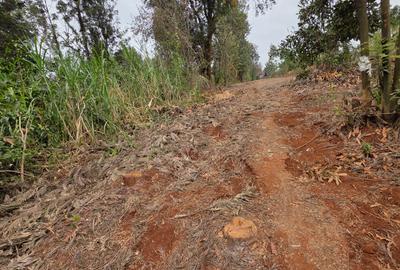 Land at Kiambu - 4