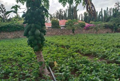 0.25 ac Land at Ls221 - 4