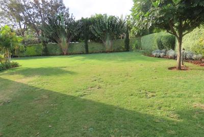 4 Bed Townhouse with En Suite in Karen - 2