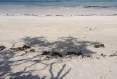 Land at Diani - 4