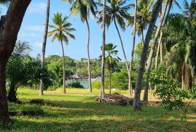 3.7 ac Land at Serena - 2