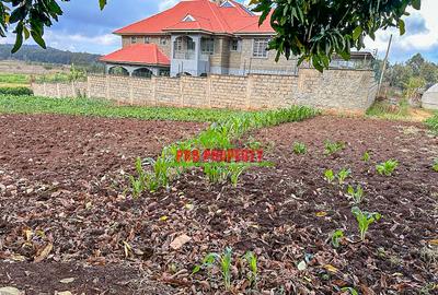 0.1 ha Residential Land at Ondiri - 3