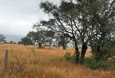 8 ac Land in Athi River