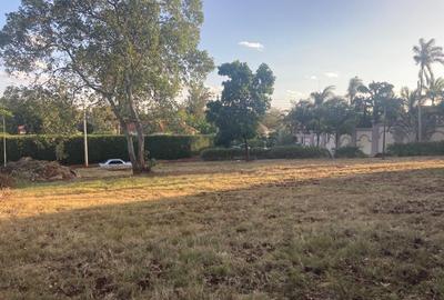 0.55 ac Land at Elias Zagoretis