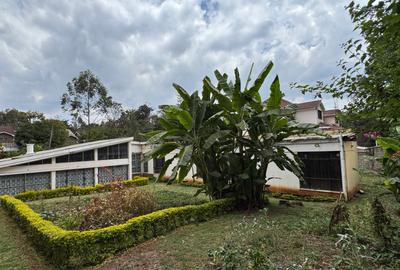 0.25 ac Commercial Property in Lavington