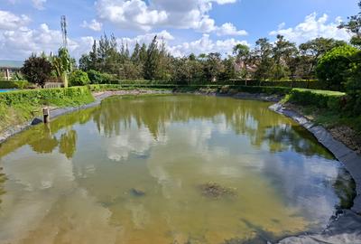 4 Bed Townhouse with En Suite at Runda - 4