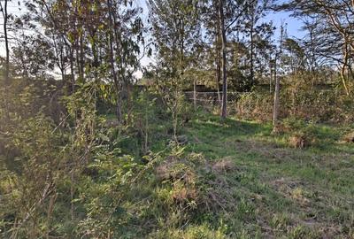 0.57 ac Land in Karen - 3