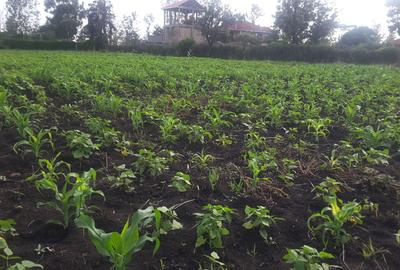 0.125 ac Residential Land in Ongata Rongai