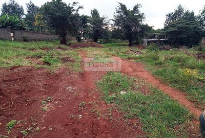 2,428 m² Land in Thindigua