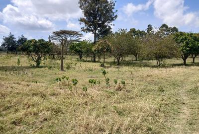 0.125 ac Land at Babito
