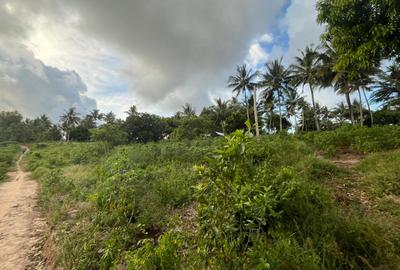 0.6 ac Land at Ls219