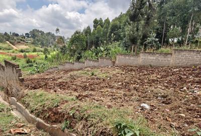 0.125 ac Land in Ruaka - 3