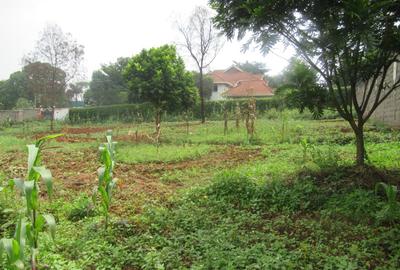 Residential Land at Runda