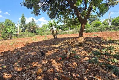 Residential Land at Runda Road - 2