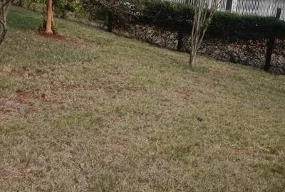 0.25 ac Land in Thika - 2