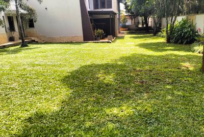 7 Bed House with En Suite in Kyuna
