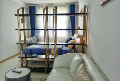 Studio Apartment with Gym in Mlolongo - 4