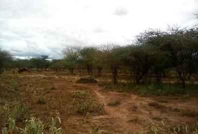 Land at Corner Baridii.