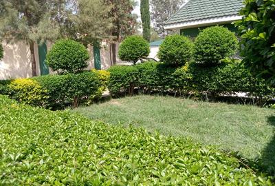 5 Bed House with Staff Quarters at Milimani