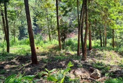 0.5 ac Land at Kirawa Road