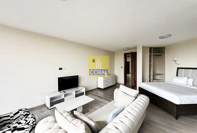 Furnished Studio Apartment with Swimming Pool in Westlands Area - 3