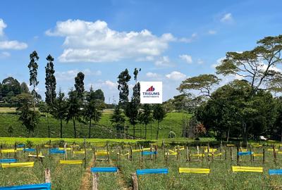 16.5 ac Land in Tigoni - 2