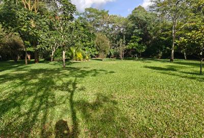 4 Bed Villa with En Suite in Karen - 3