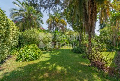 10 Bed House with Garden at Rosslyn Lone Tree