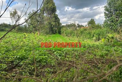 0.1 ha Land at Thigio - 4