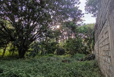 Commercial Land at Ruaka Road - 2
