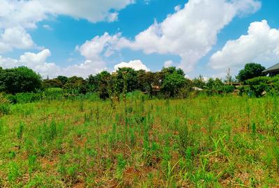 1,000 m² Residential Land at Riu-Nderi