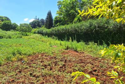 Residential Land in Runda