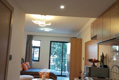 Studio Apartment with Swimming Pool in Ruaka - 3