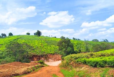 1 ac Residential Land at Tigoni