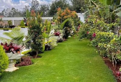 7 Bed House with En Suite in Karen