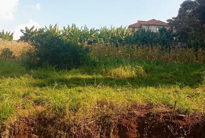 Land at Muhuri Road