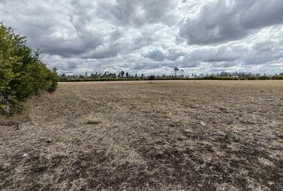 Land at Rangau